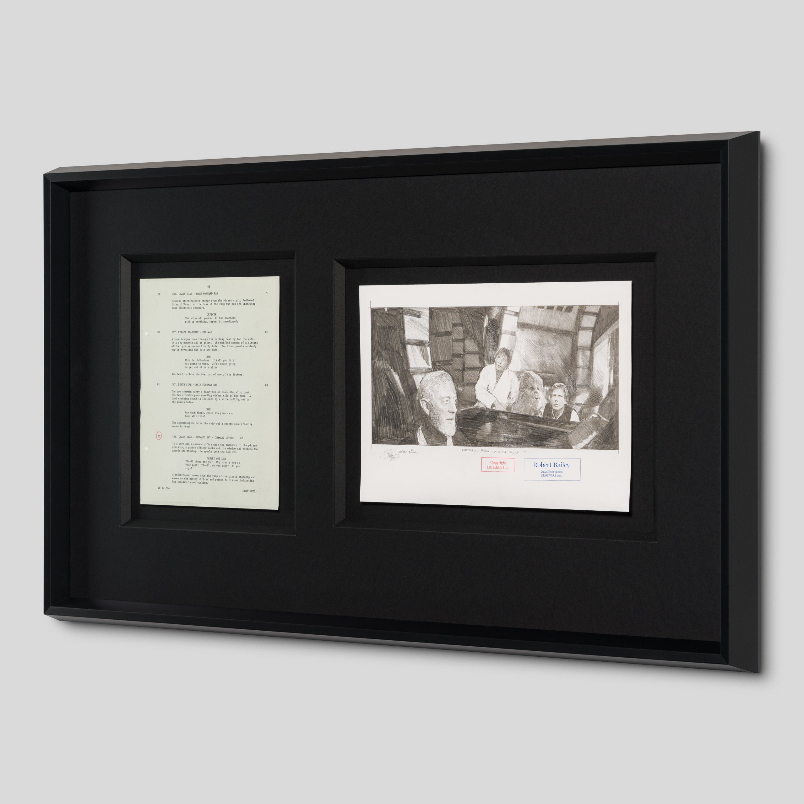 RBA ORI SKT 34941 Emerging From Concealment 2