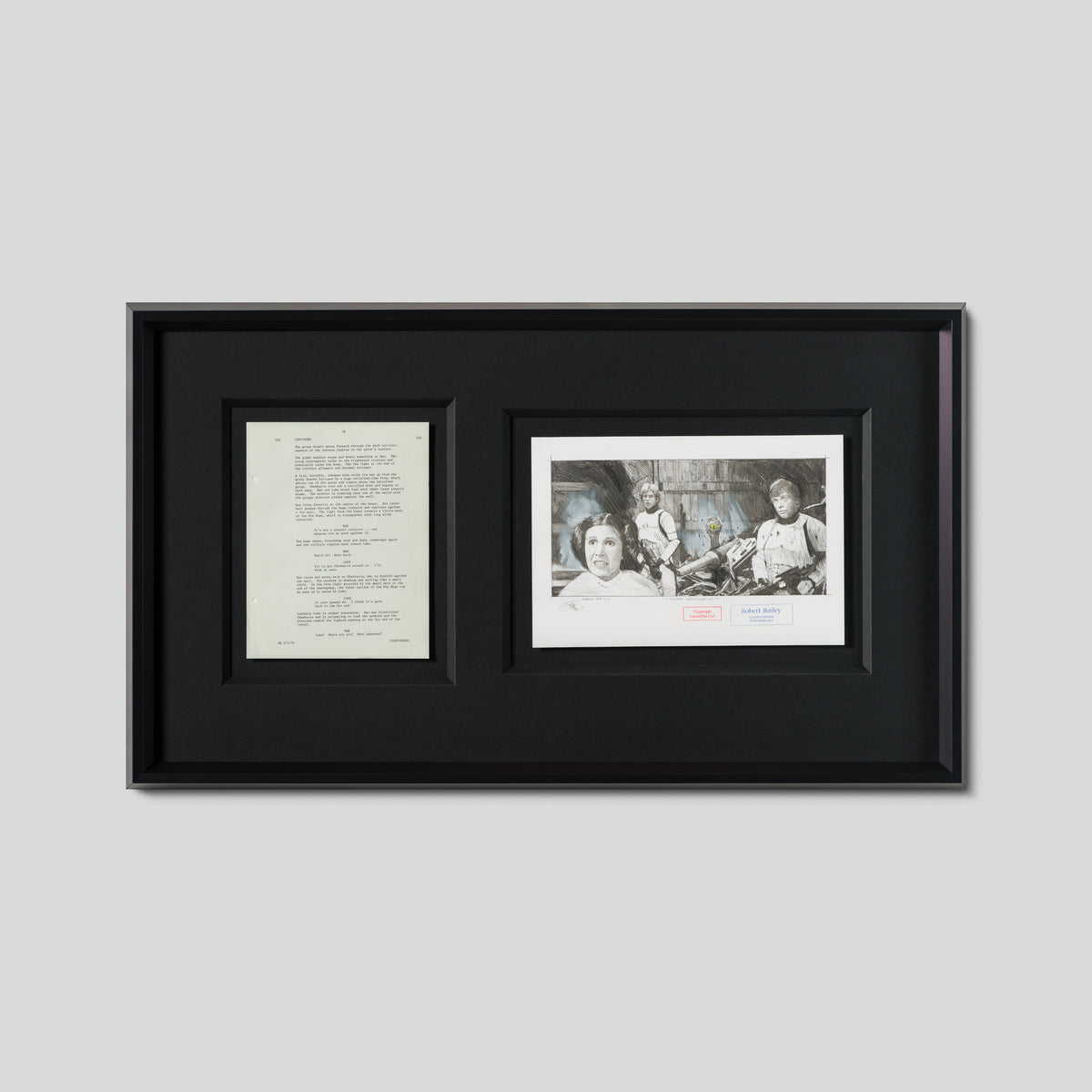 RBA ORI SKT 35005 Under Observation 1