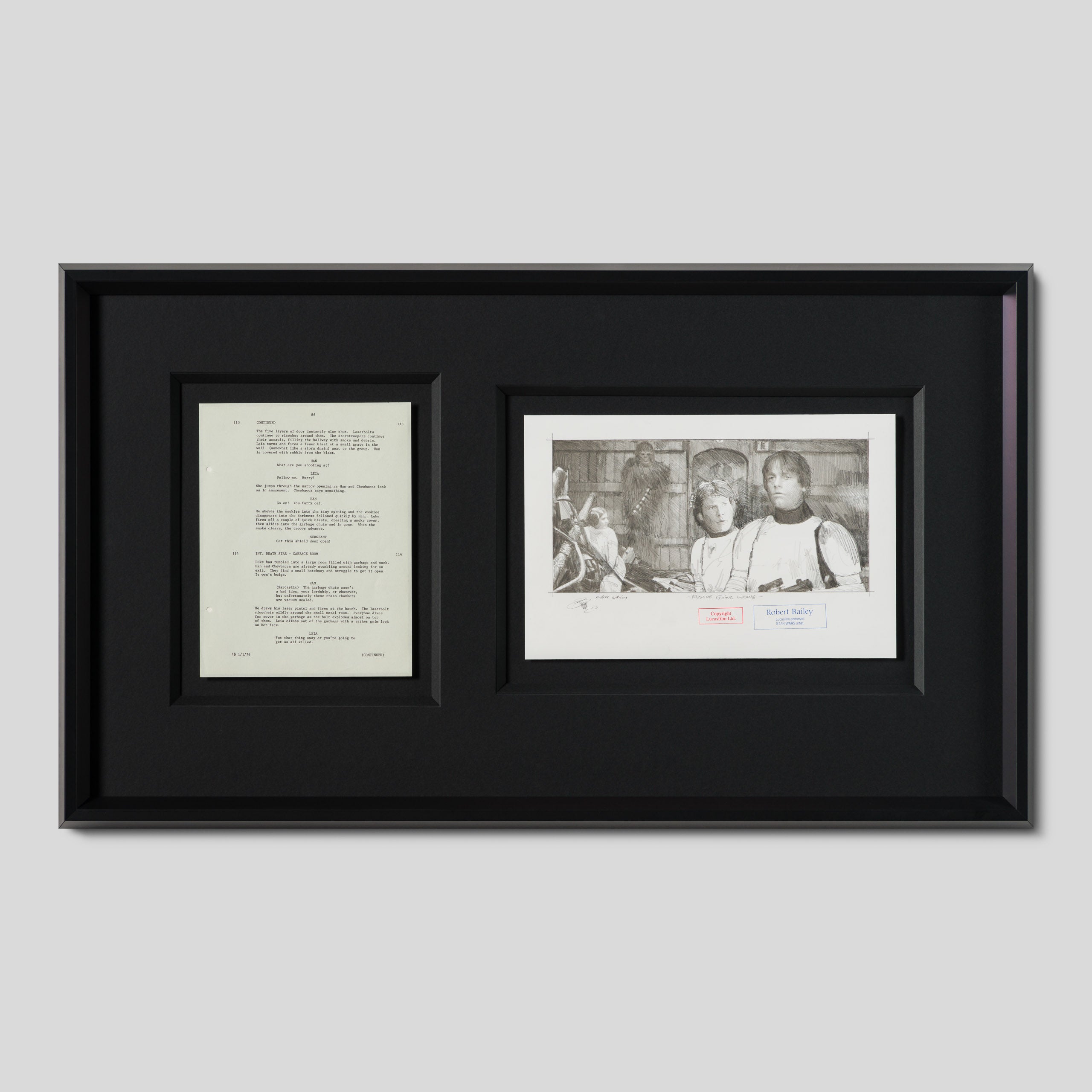 RBA ORI SKT 35010 Rescue Gone Wrong 1