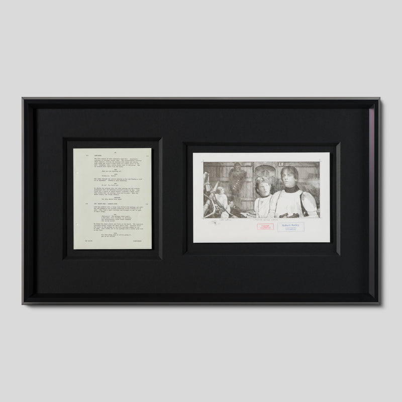 RBA ORI SKT 35010 Rescue Gone Wrong 1