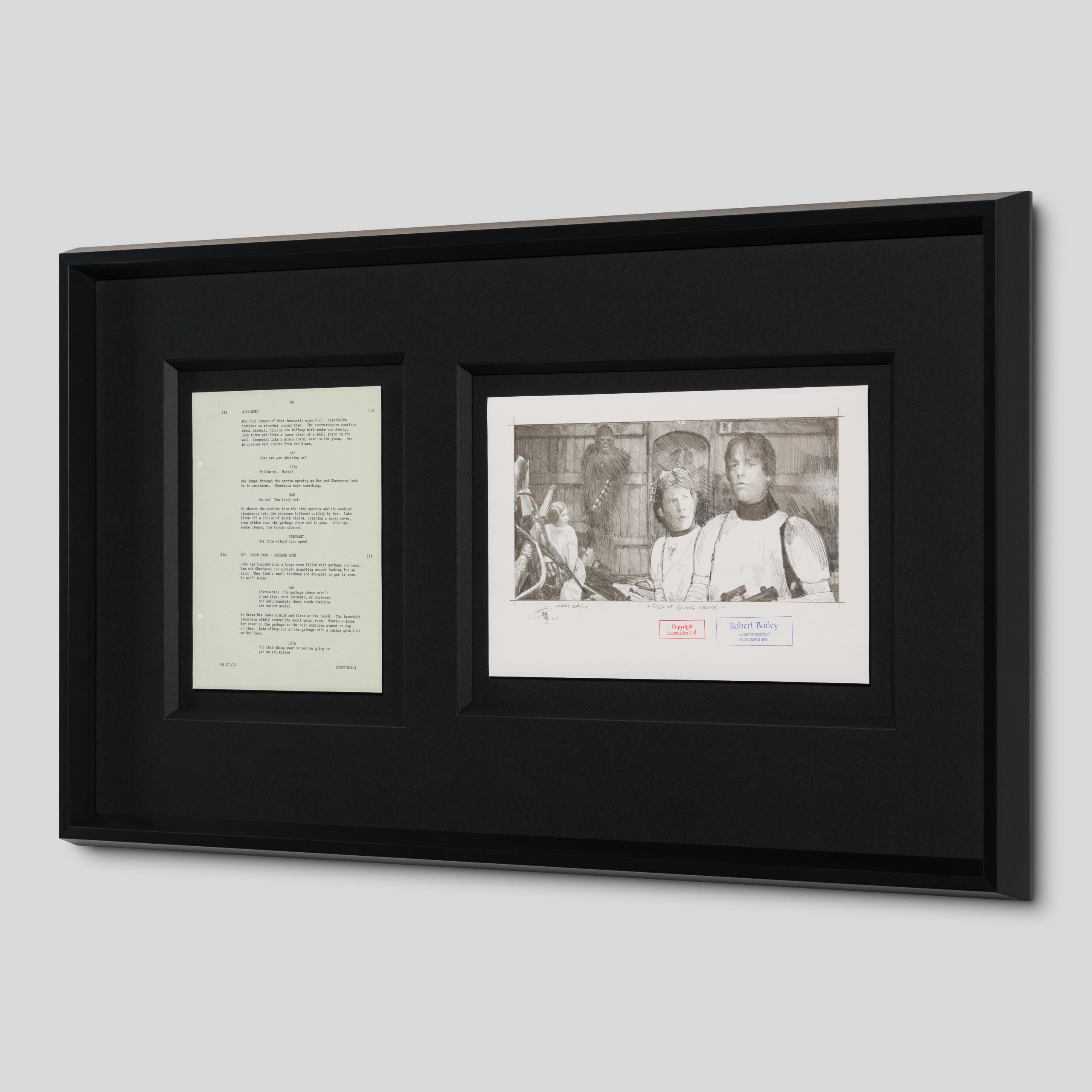 RBA ORI SKT 35010 Rescue Gone Wrong 2