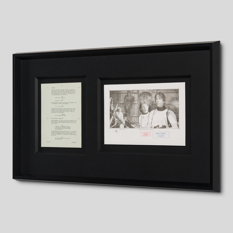 RBA ORI SKT 35010 Rescue Gone Wrong 2