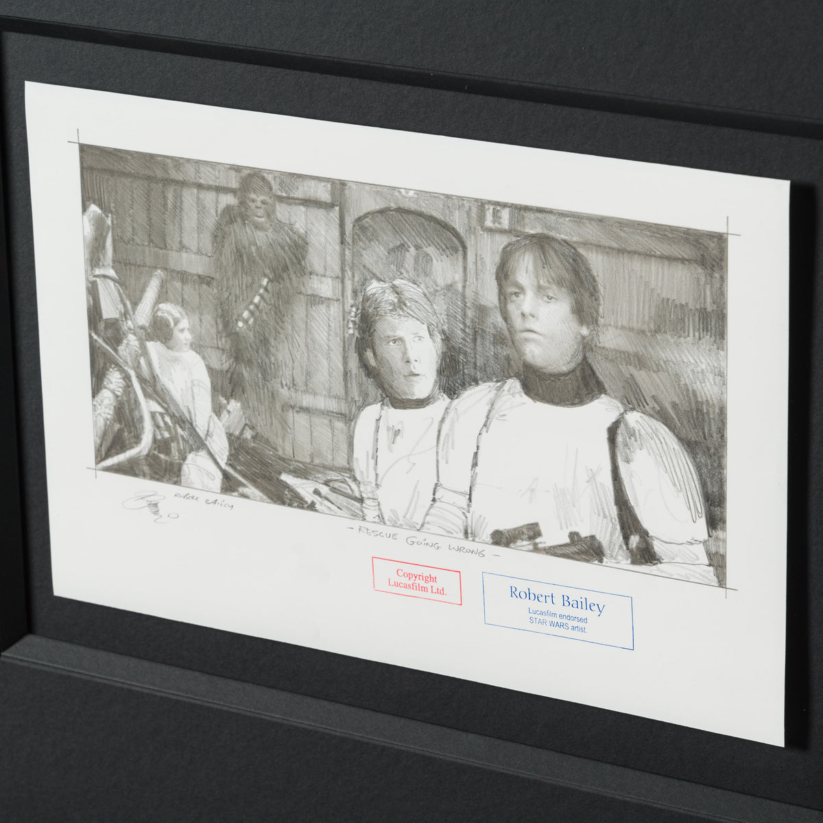 RBA ORI SKT 35010 Rescue Gone Wrong 4