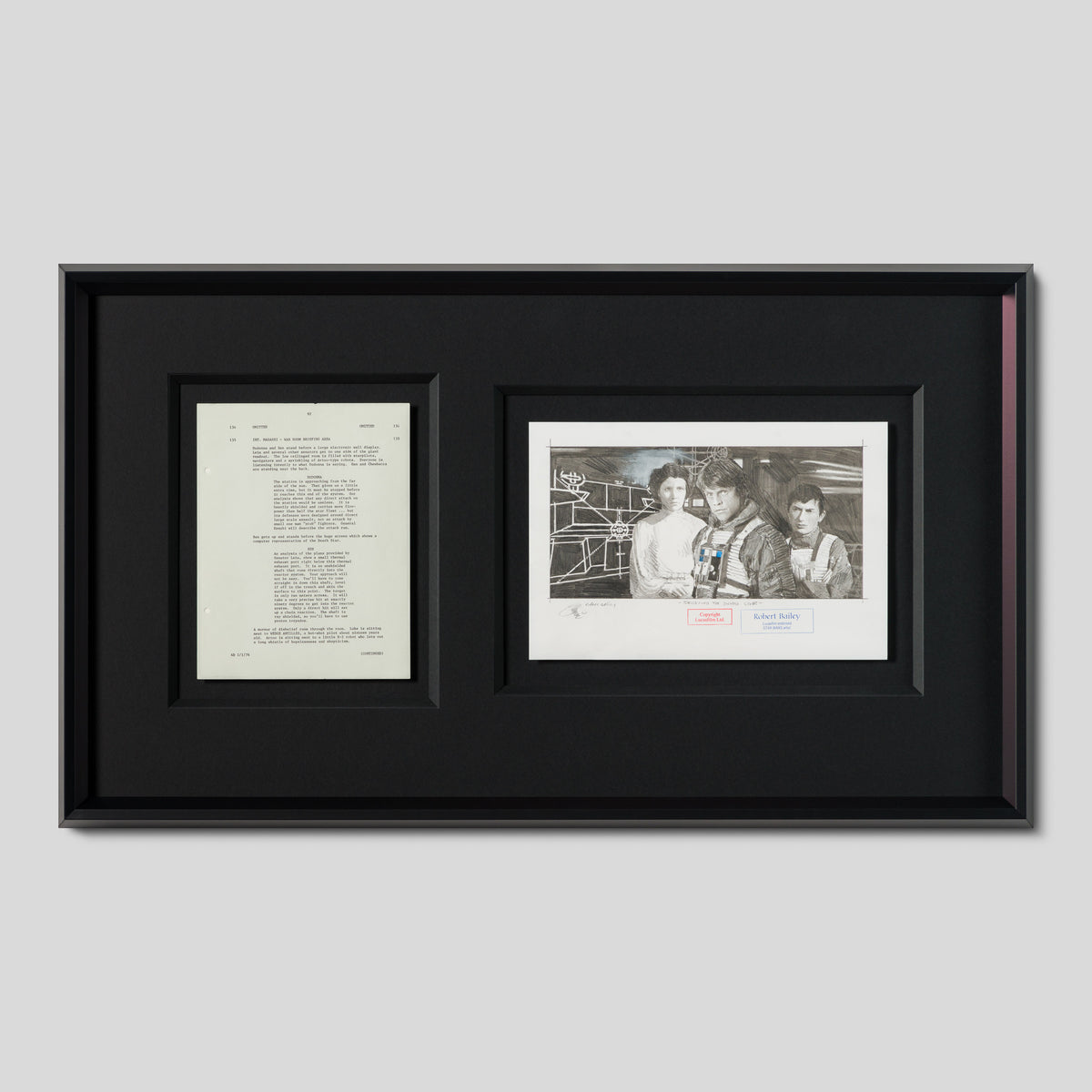 RBA ORI SKT 35338 Targeting The Death Star 1