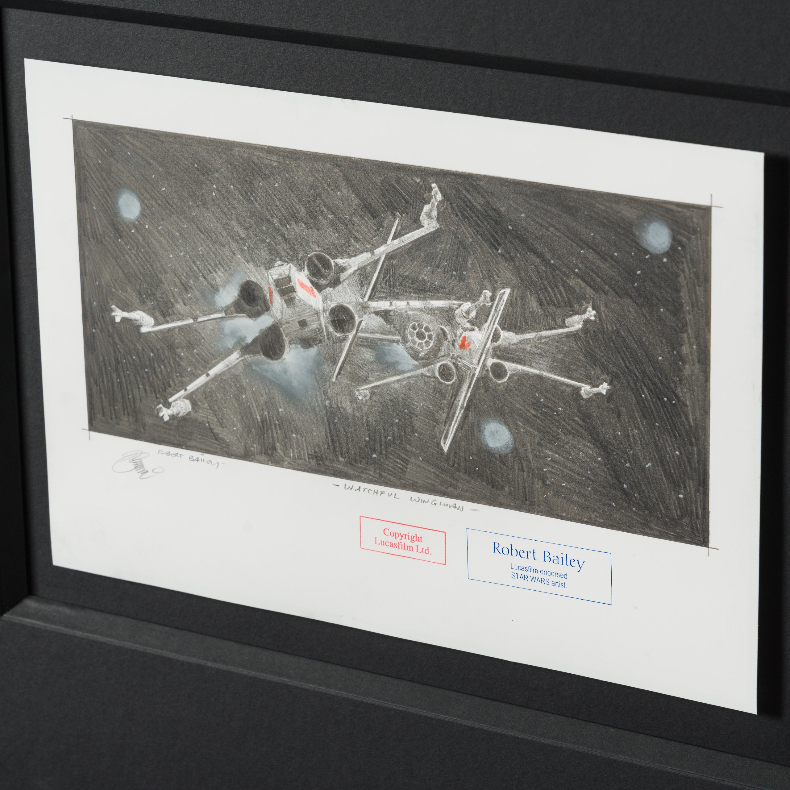 RBA ORI SKT 35414 Watchful Wingman 4