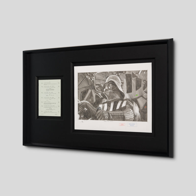 RBA ORI SKT 35455 Vader Takes Control 2