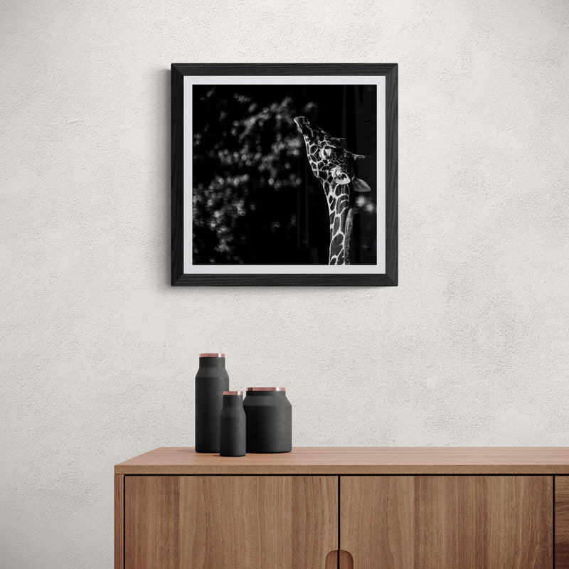 Reach For The Stars 2