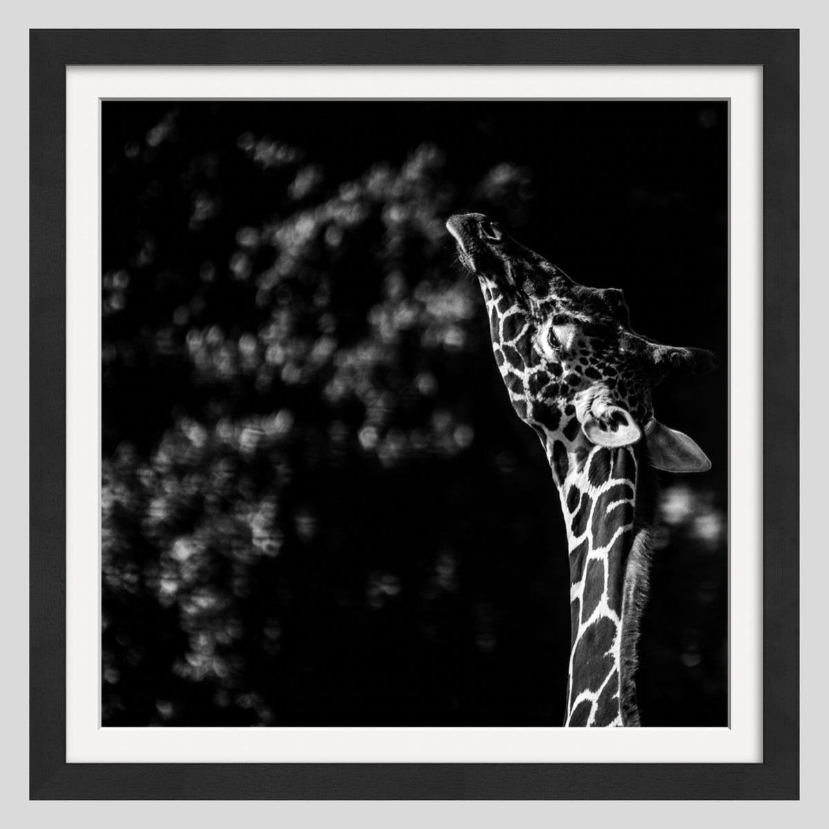 Reach For The Stars Product Images