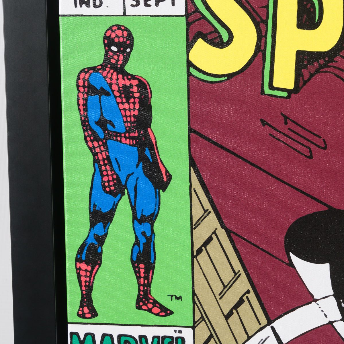 ROM Amazing Spider Man #76 6