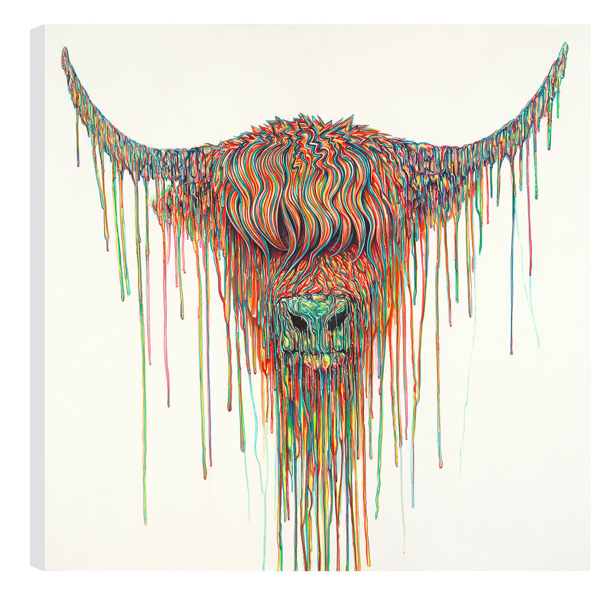 ROX Angus BCNC RGB LR