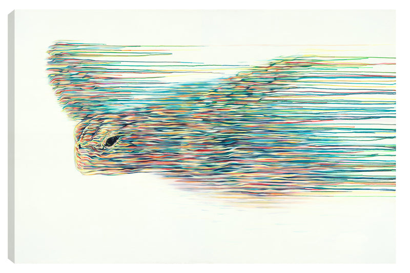 ROX The Navigator Boutique BNC