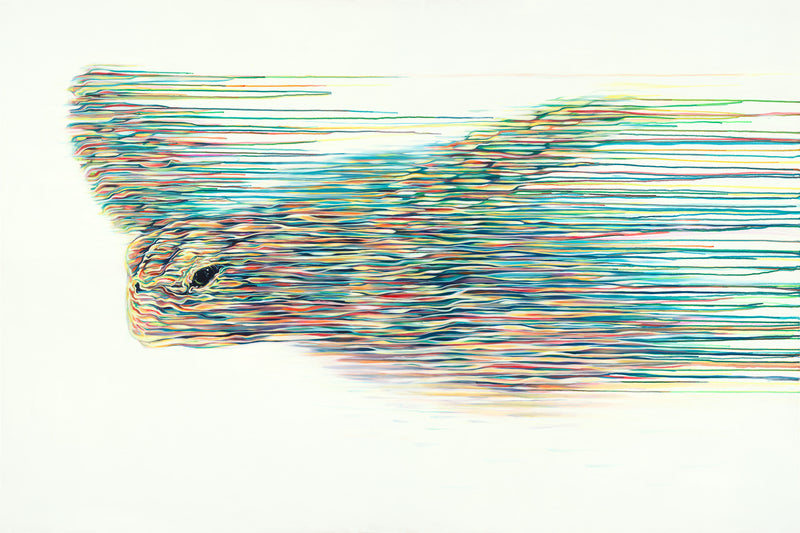 ROX The Navigator Boutique