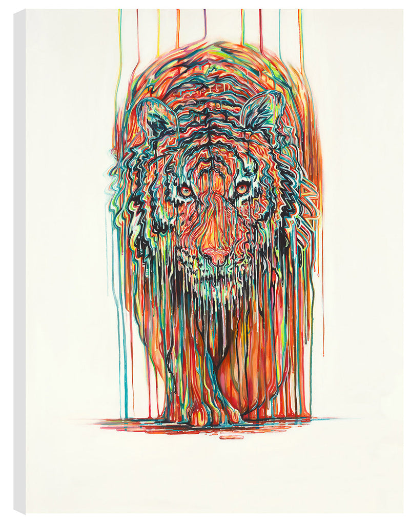 ROX Walk With Me BCNC RGB LR