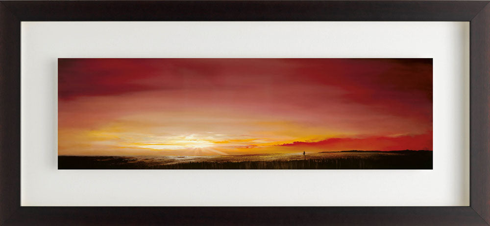 rrgc47 enlightened f