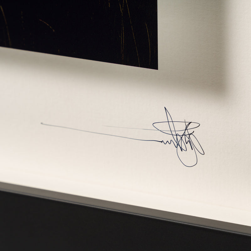 Spring 2025 | Framed Set of Three