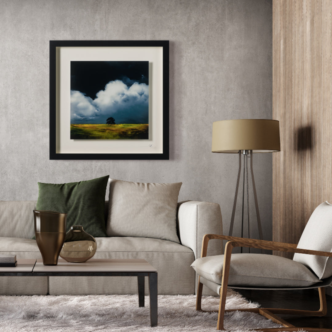 RRO FINDING HOME ROOM SET