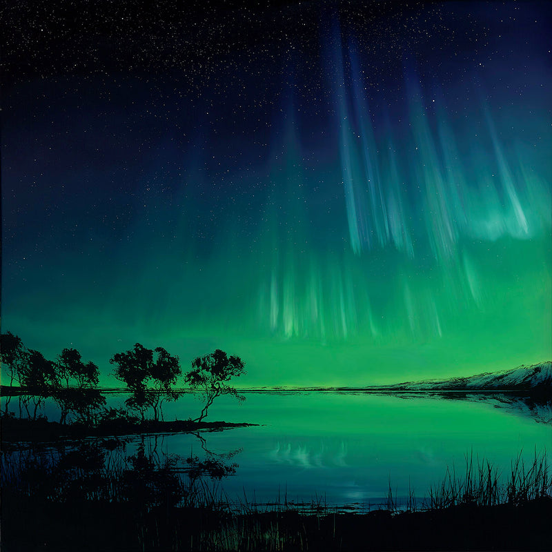 RRO Light Dancing NC RGB LR