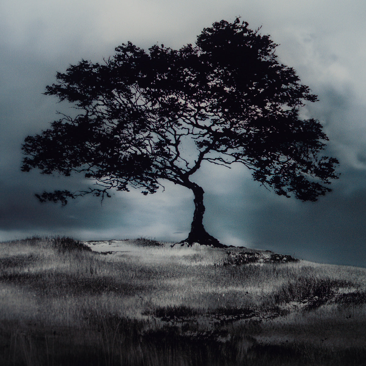 RRO Once Upon a Time In 4