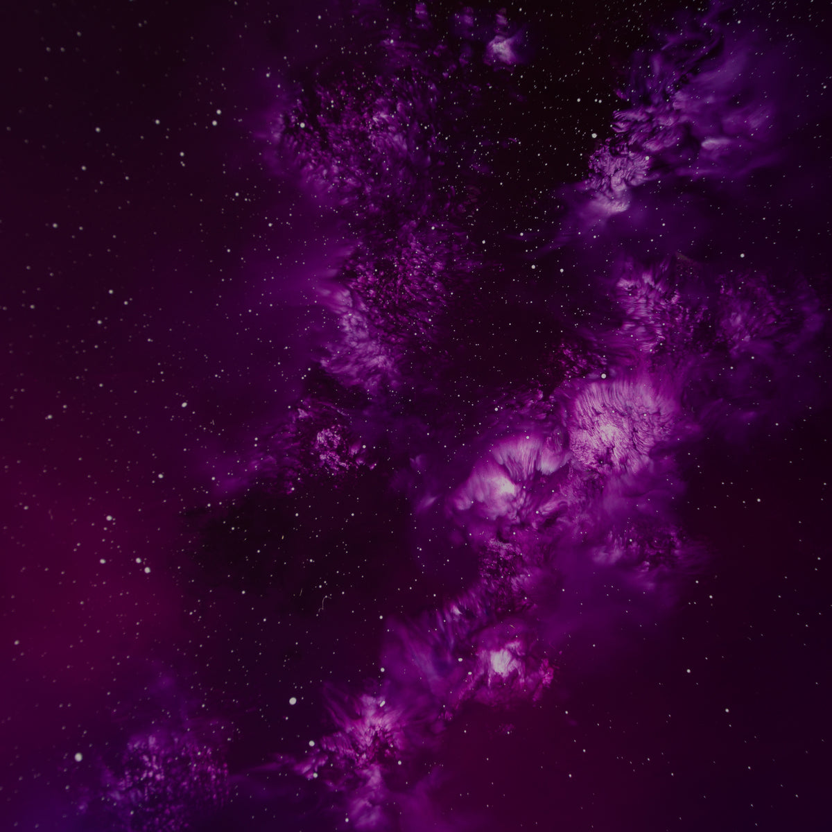 RRO ORI LAN 29883 6 Distant Shores