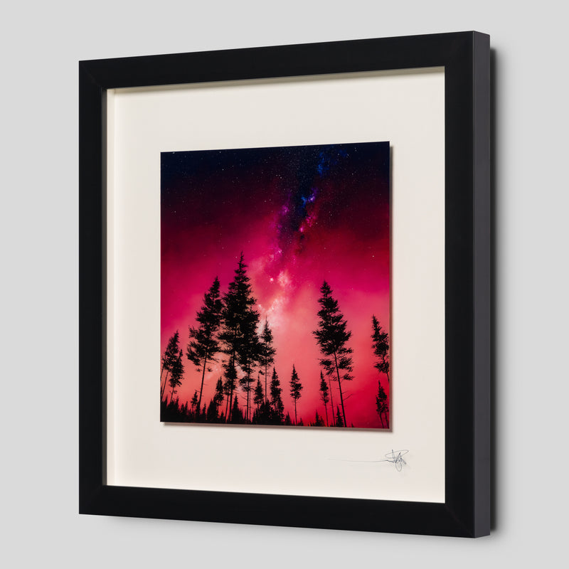 RRO ORI LAN 29885 2 Silent Awakening