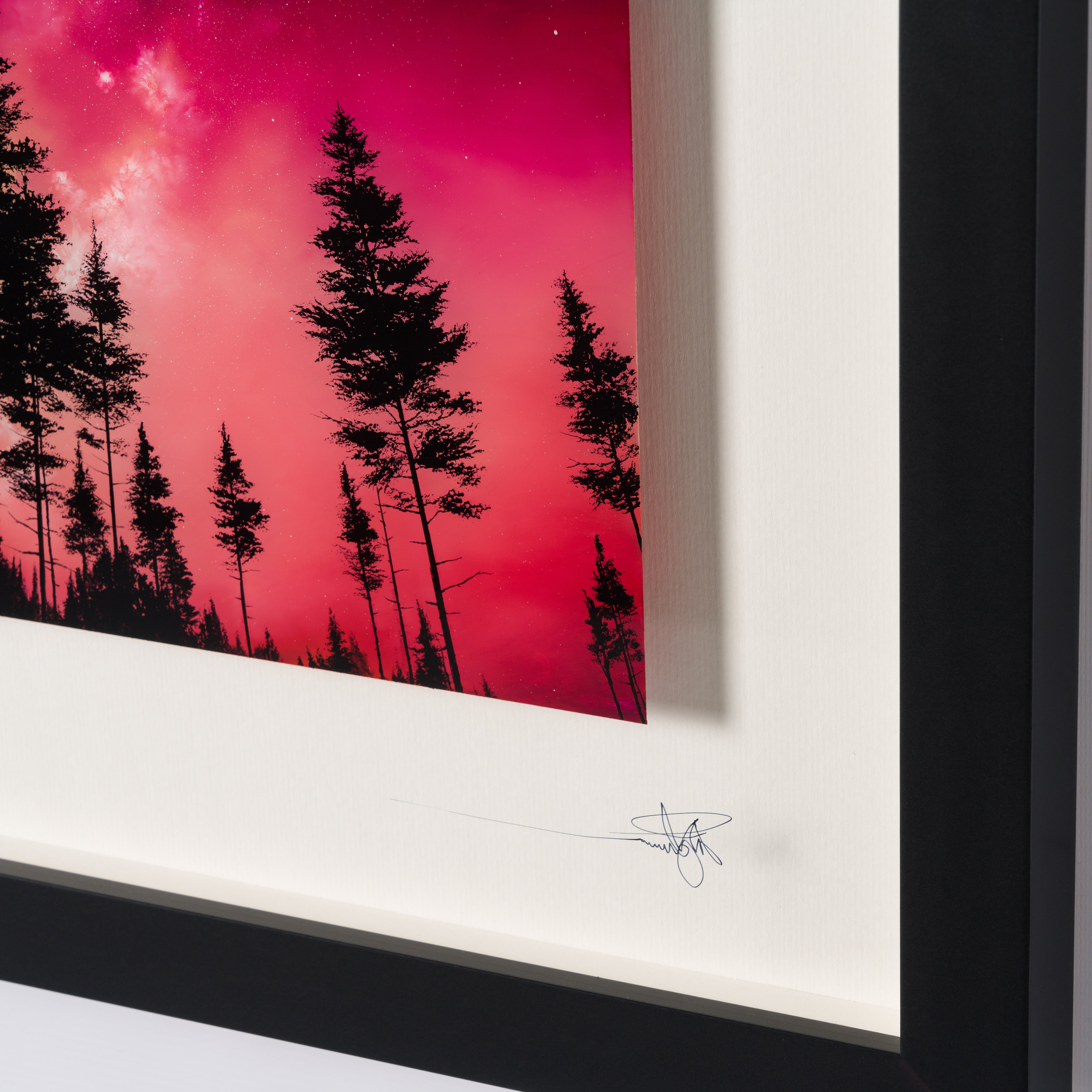 RRO ORI LAN 29885 4 Silent Awakening