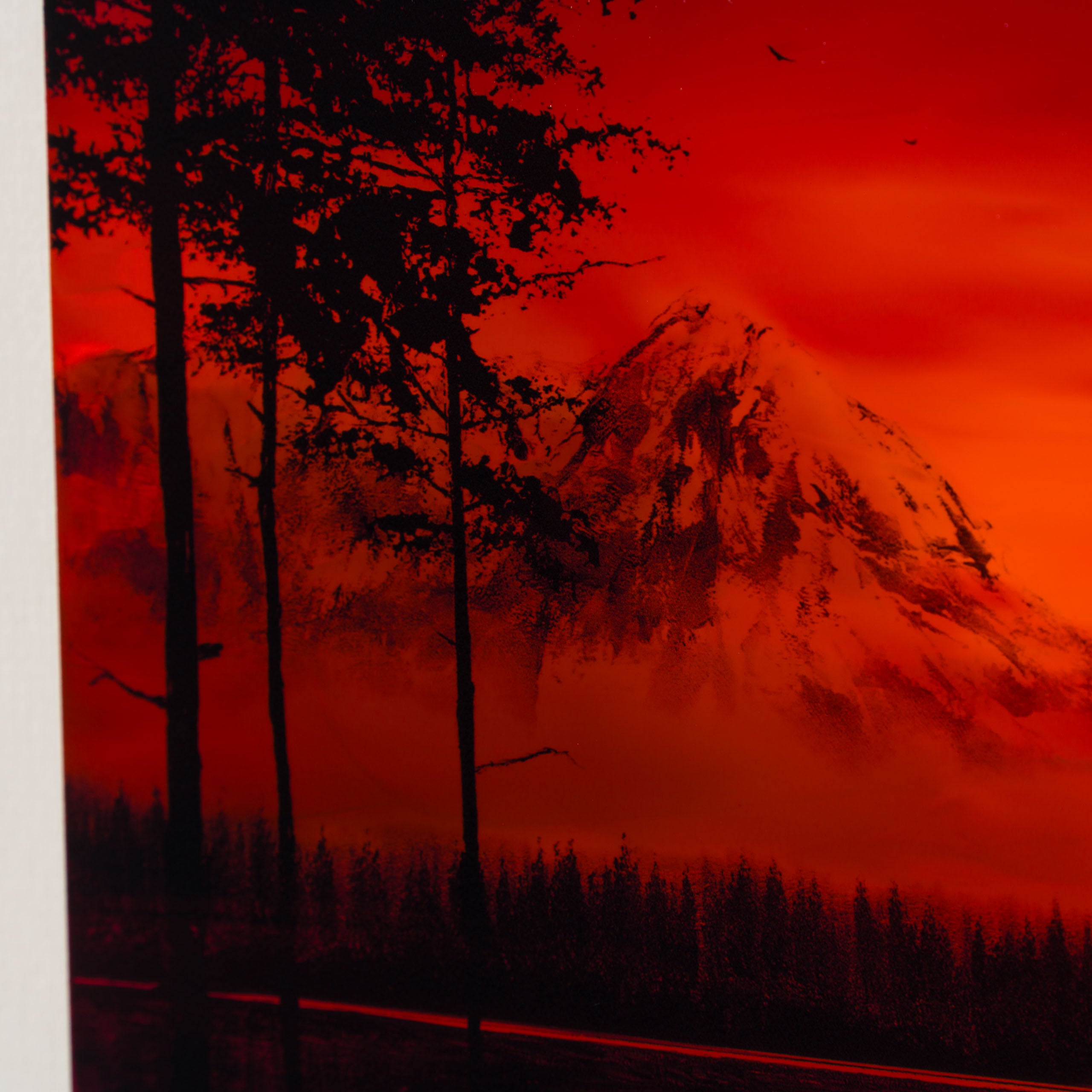 RRO ORI LAN 31712 Forever More XVIII 5