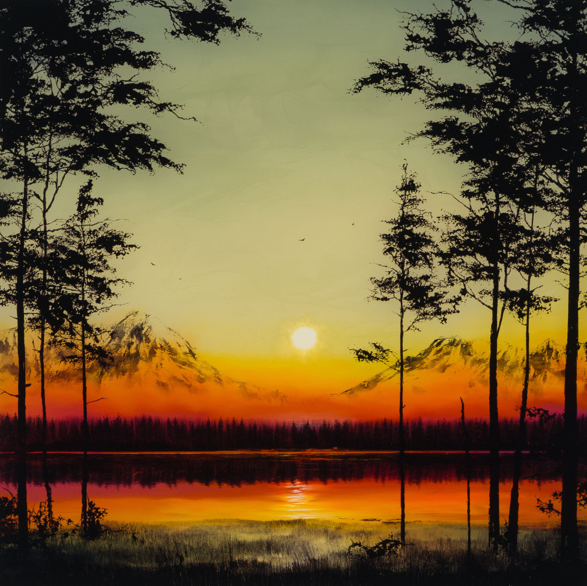 RRO ORI LAN 31713 Forever More XIX 31