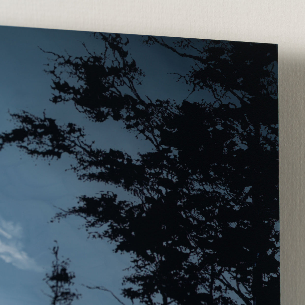 RRO ORI LAN 31714 Forever More XX 4