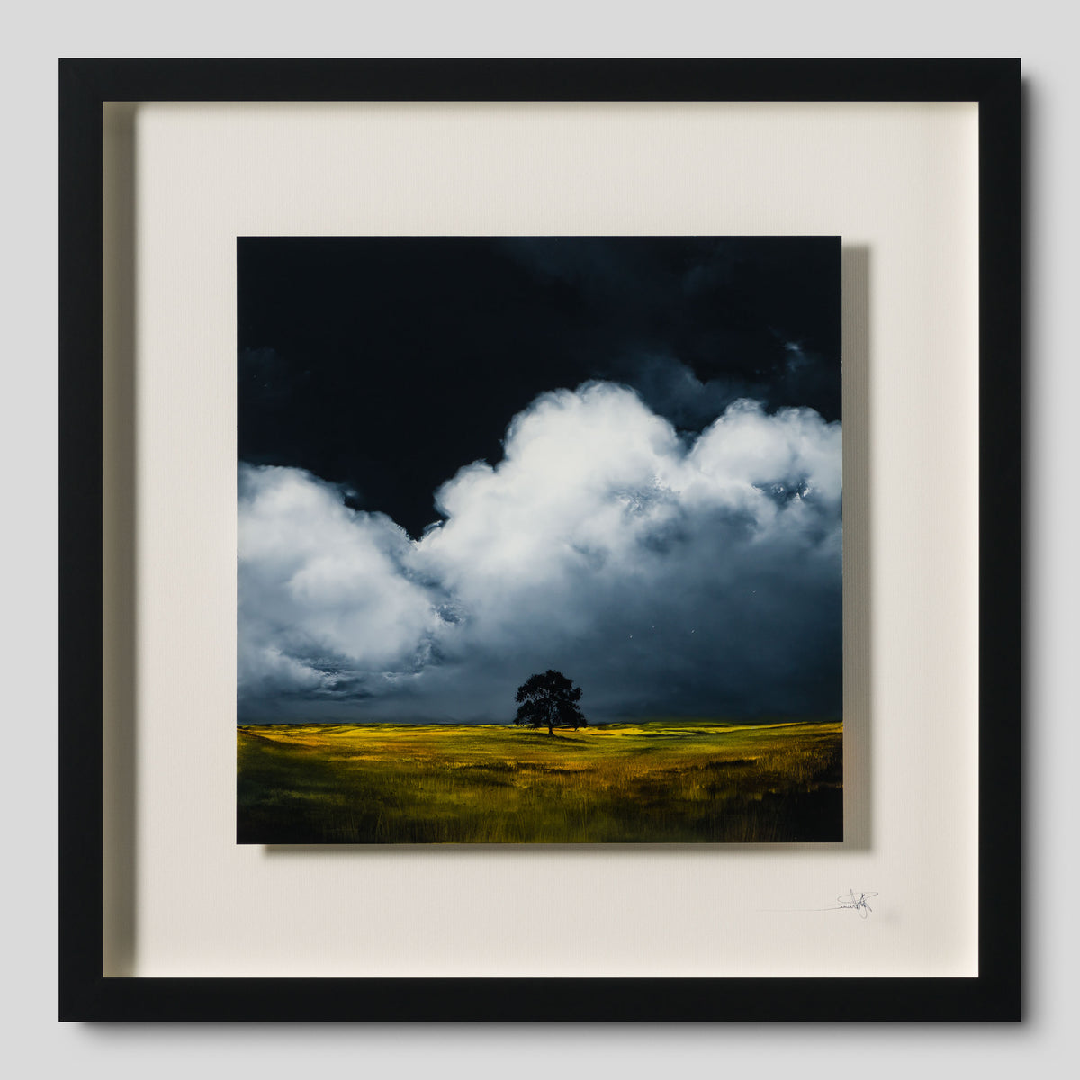 RRO ORI LAN 32559 Finding Home 1