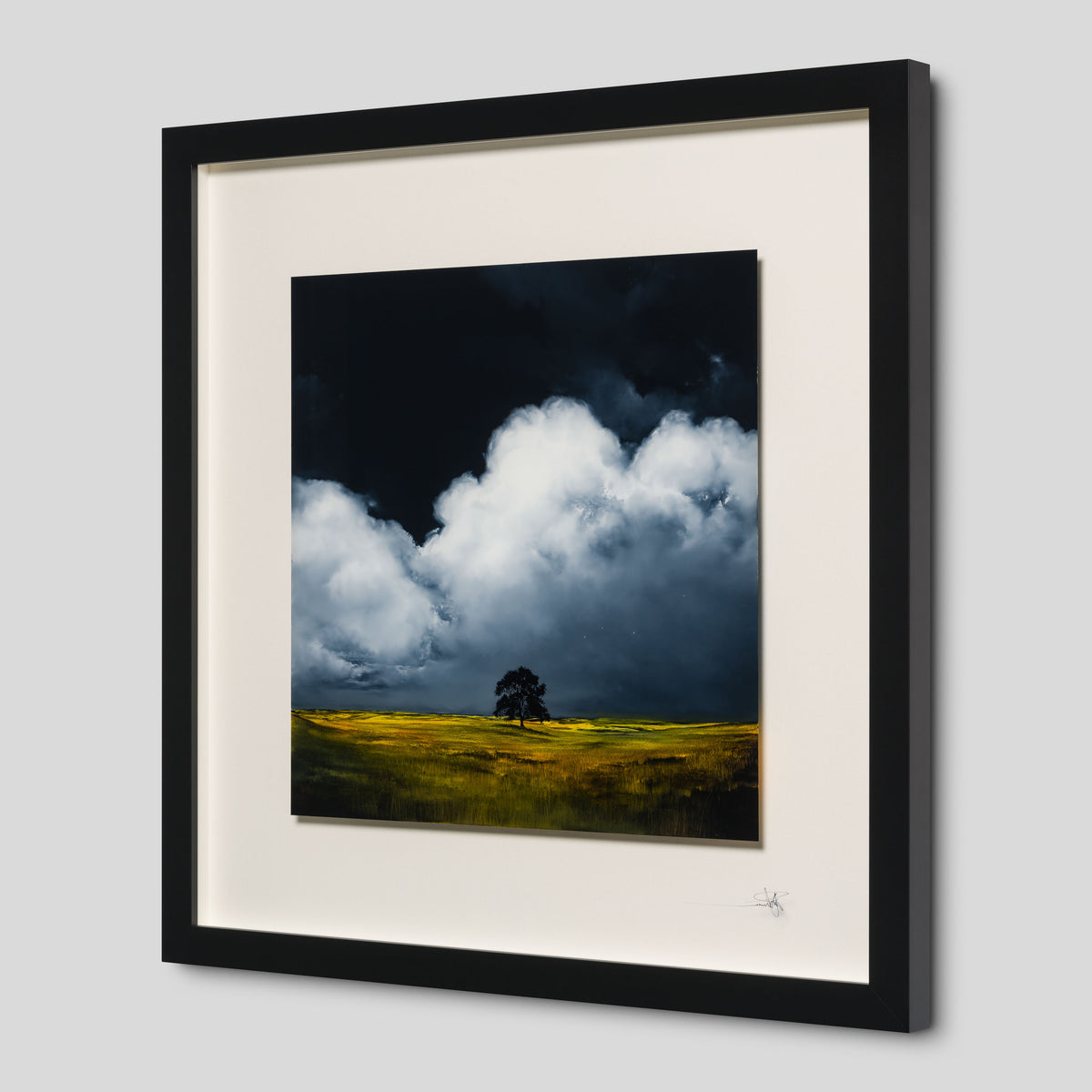 RRO ORI LAN 32559 Finding Home 2