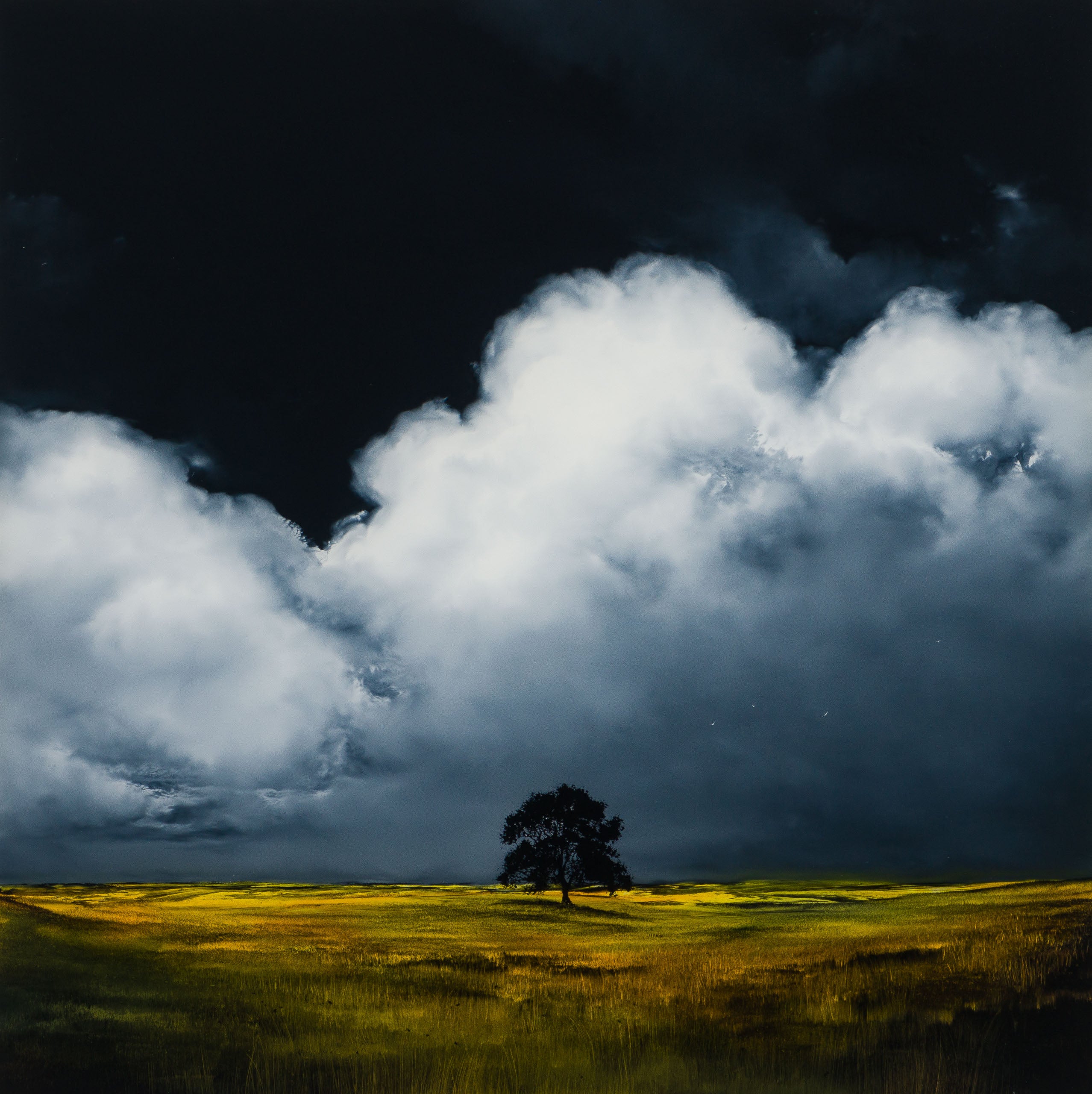 RRO ORI LAN 32559 Finding Home 31