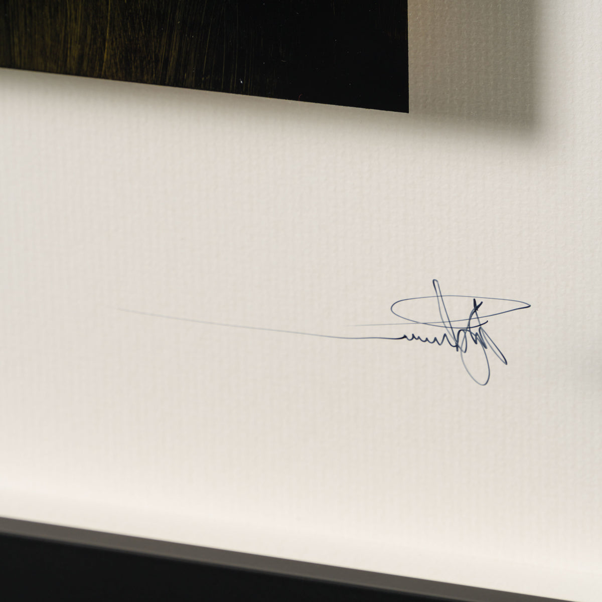 RRO ORI LAN 32559 Finding Home 3