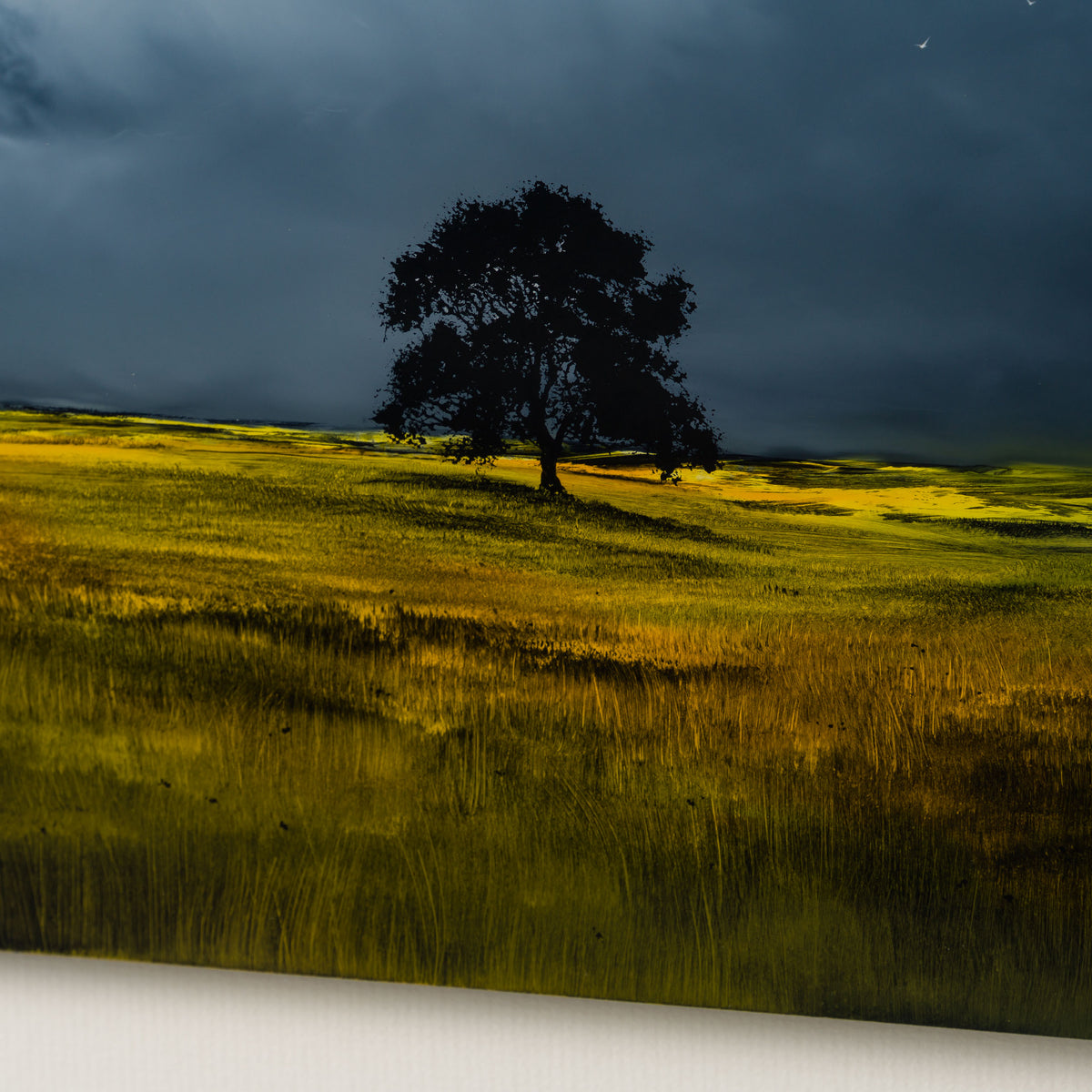 RRO ORI LAN 32559 Finding Home 4