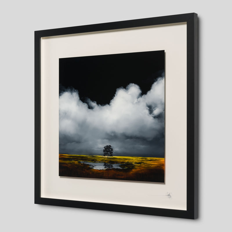 RRO ORI LAN 33243 Silence And The Heartbeats 2