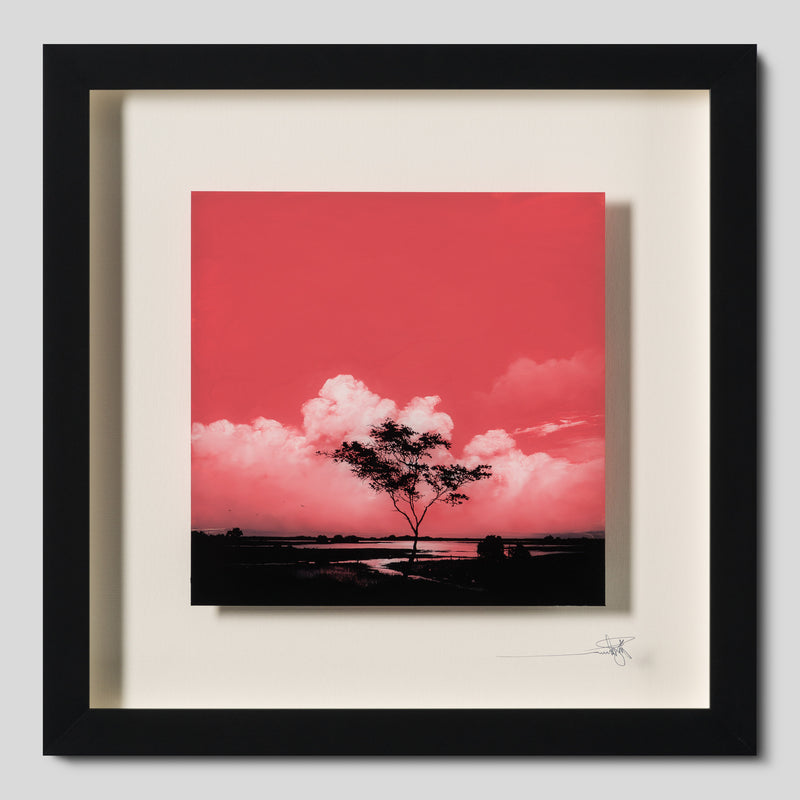 RRO ORI LAN 34644 Journey Beyond Original 1