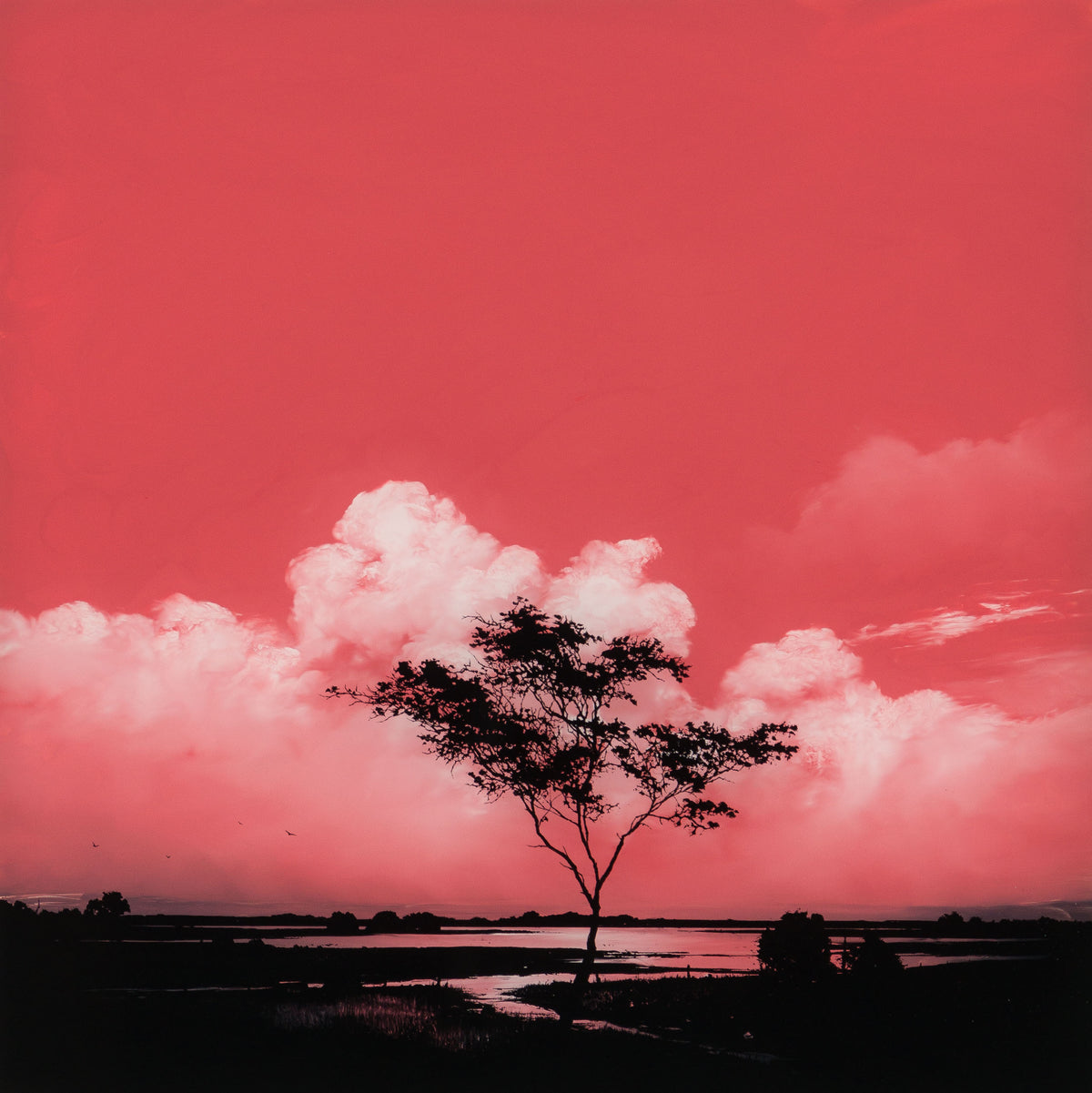 RRO ORI LAN 34644 Journey Beyond Original 31