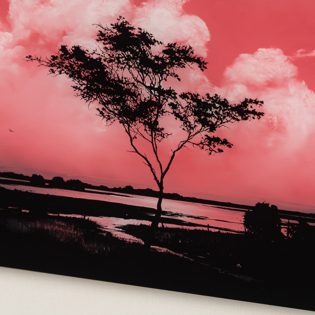 RRO ORI LAN 34644 Journey Beyond Original 4