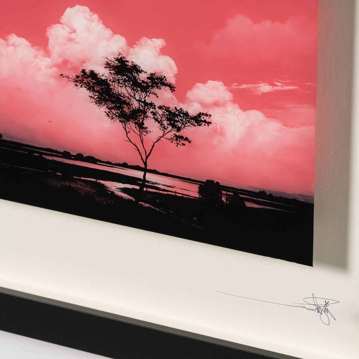 RRO ORI LAN 34644 Journey Beyond Original 5