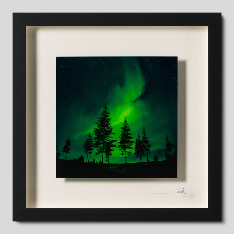 RRO ORI LAN 35259 Ethereal Serenade 1