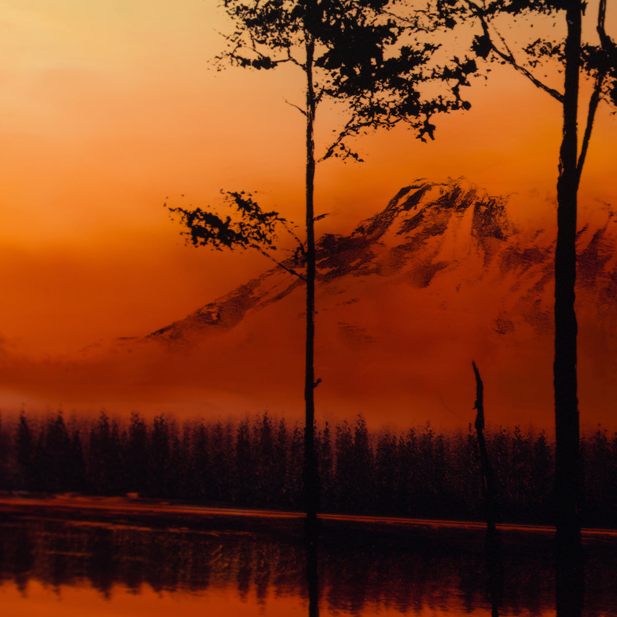 RRO ORI UNI 29784 6 Forever More VII