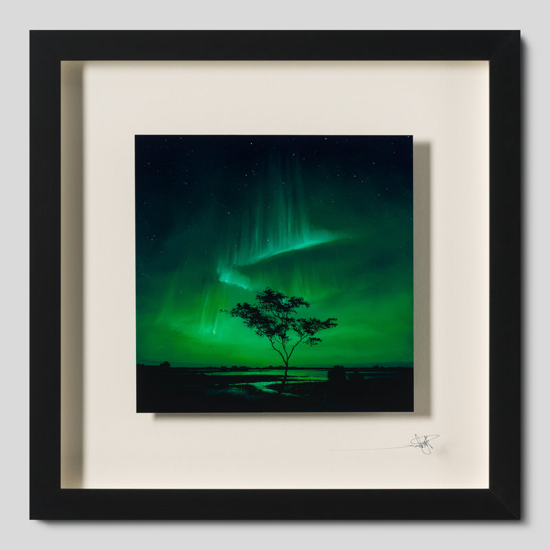 RRO ORI UNI 33984 Journey Beyond 3 1