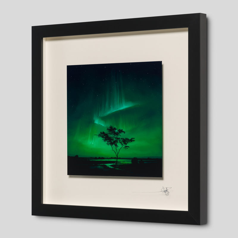 RRO ORI UNI 33984 Journey Beyond 3 2