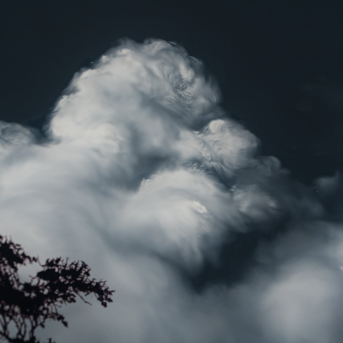 RRO ORI UNI 33997 Journey Beyond 16 5