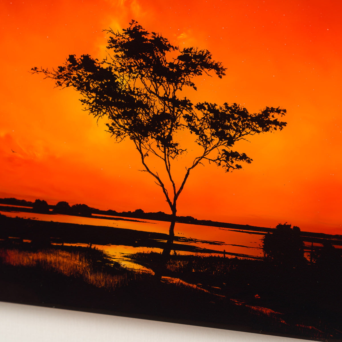 RRO ORI UNI 34001 Journey Beyond 20 5