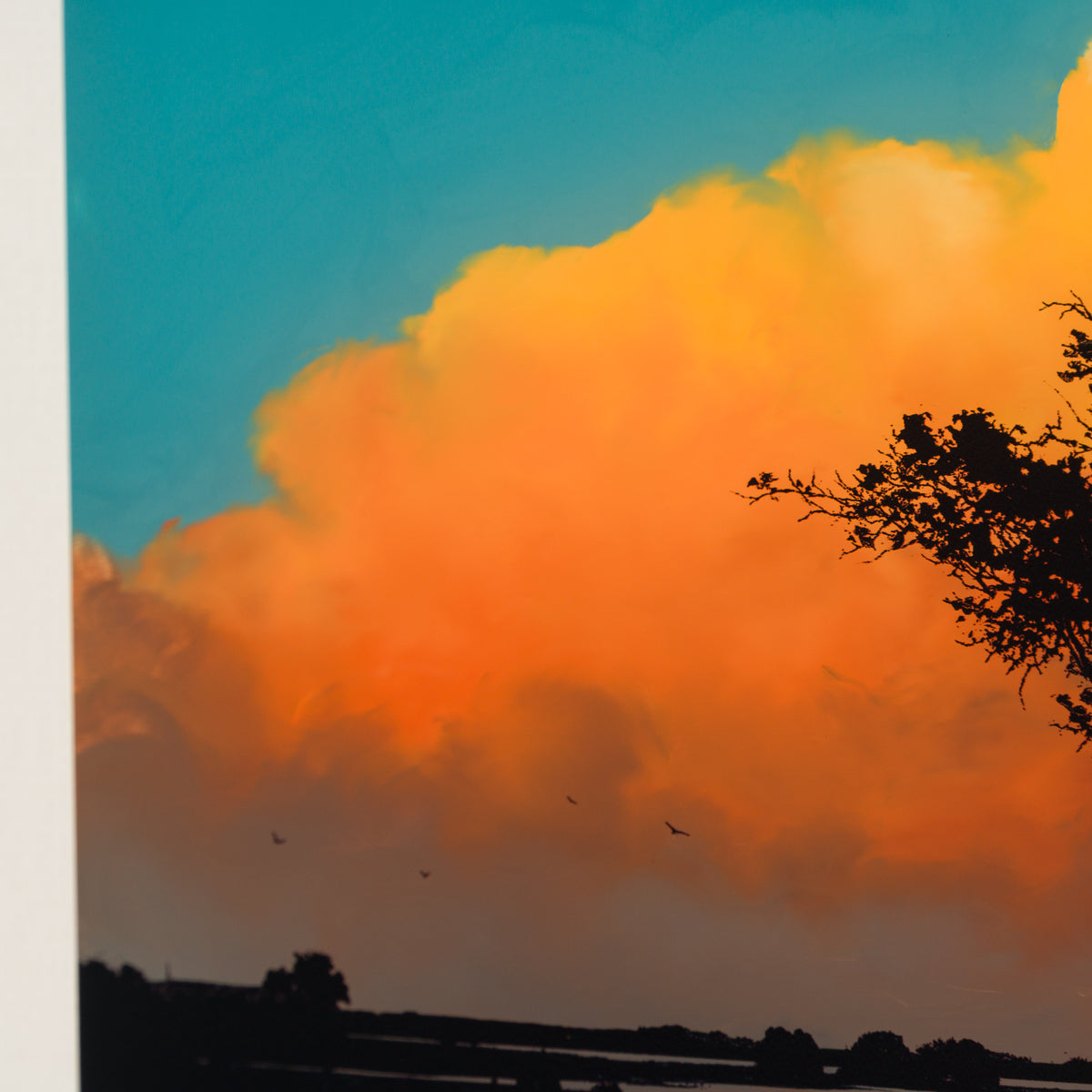 RRO ORI UNI 34005 Journey Beyond 24 6