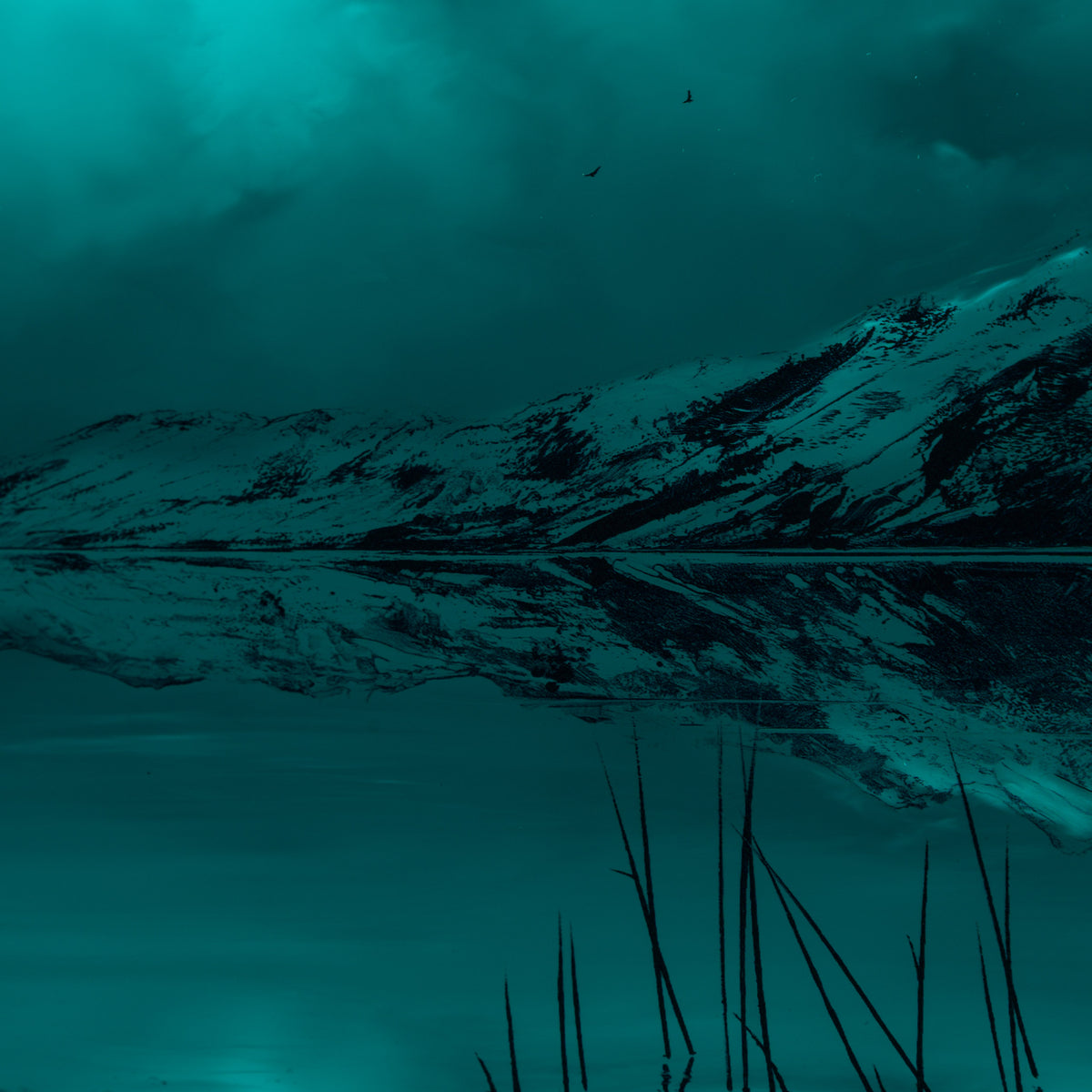 RRO ORI UNI 35988 A Tale To Be Told XVIII 5