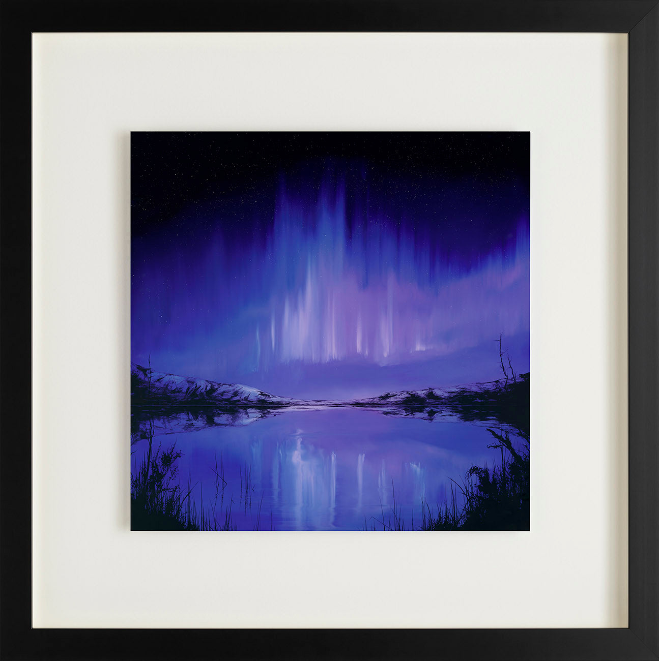 RRO Perfect Display FNC RGB LR