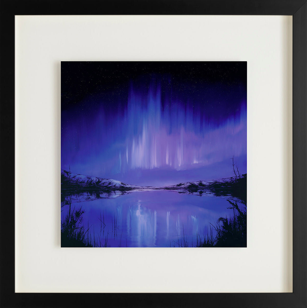 RRO Perfect Display FNC RGB LR