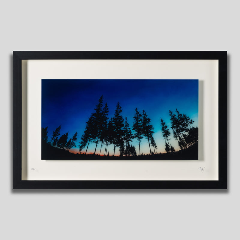 RRO SLE LAN 17596 1 Remind Me Never To Forget