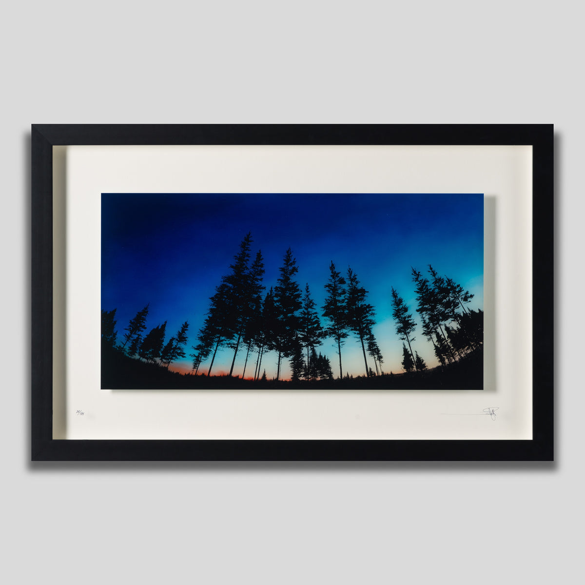 RRO SLE LAN 17596 1 Remind Me Never To Forget